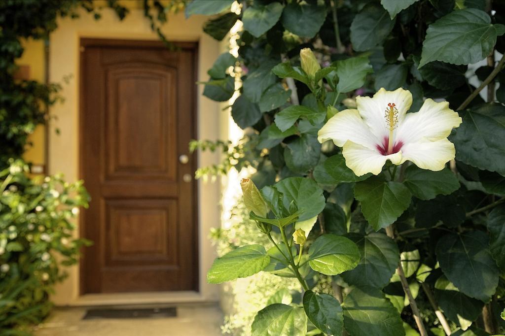 Bv Borgo Del Principe Otel Zambrone Dış mekan fotoğraf